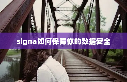 signa如何保障你的数据安全