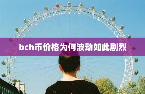 bch币价格为何波动如此剧烈