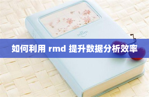 如何利用 rmd 提升数据分析效率