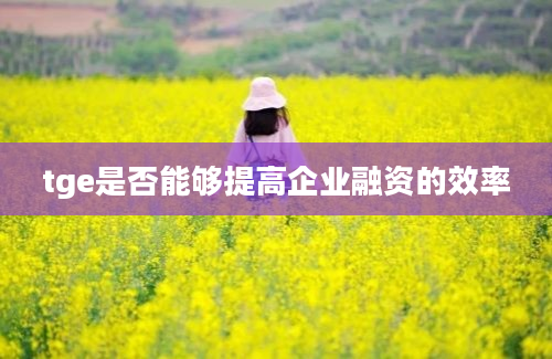 tge是否能够提高企业融资的效率