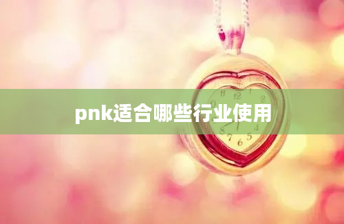 pnk适合哪些行业使用