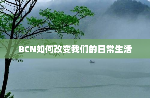 BCN如何改变我们的日常生活