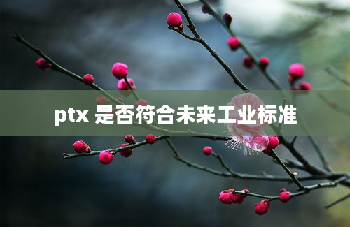 ptx 是否符合未来工业标准