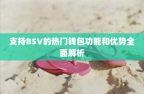 支持BSV的热门钱包功能和优势全面解析