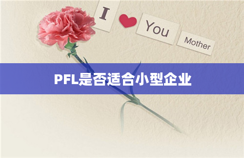 PFL是否适合小型企业