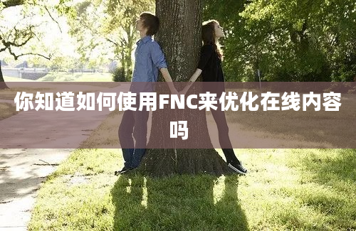 你知道如何使用FNC来优化在线内容吗