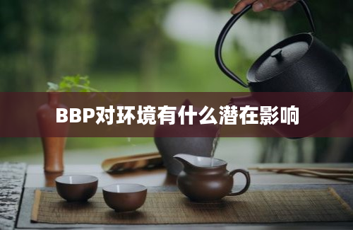 BBP对环境有什么潜在影响