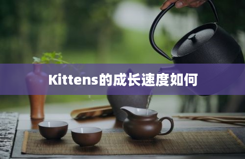 Kittens的成长速度如何