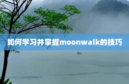 如何学习并掌握moonwalk的技巧