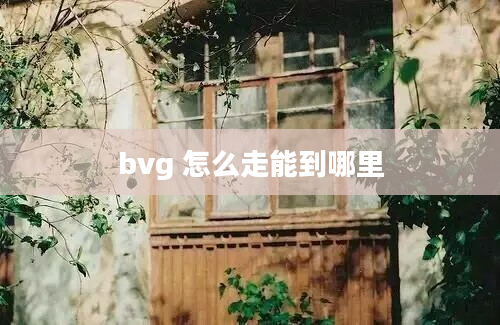 bvg 怎么走能到哪里