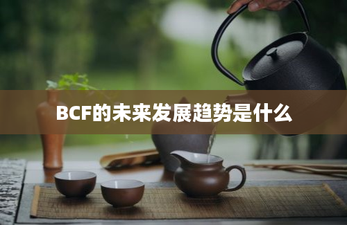 BCF的未来发展趋势是什么