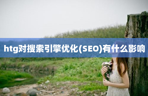 htg对搜索引擎优化(SEO)有什么影响