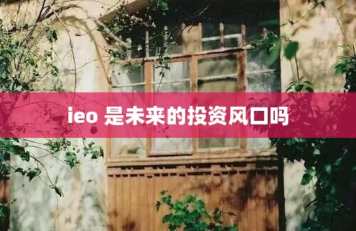 ieo 是未来的投资风口吗