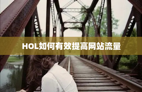 HOL如何有效提高网站流量