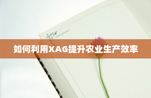 如何利用XAG提升农业生产效率