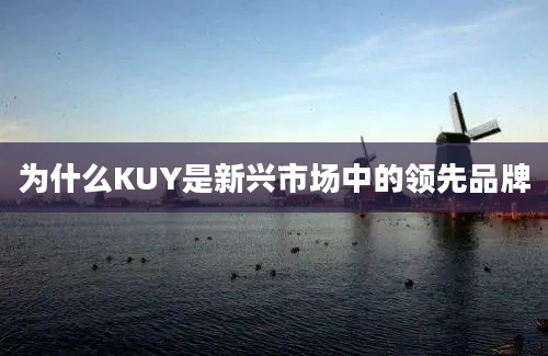 为什么KUY是新兴市场中的领先品牌