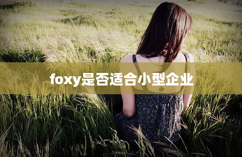 foxy是否适合小型企业