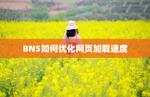 BNS如何优化网页加载速度