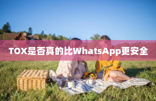 TOX是否真的比WhatsApp更安全