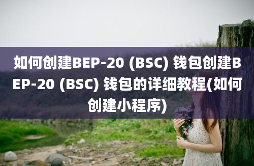 如何创建BEP-20 (BSC) 钱包创建BEP-20 (BSC) 钱包的详细教程(如何创建小程序)