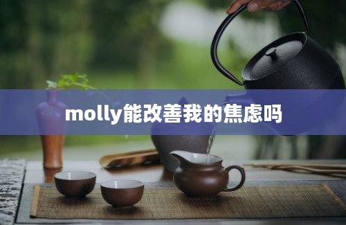 molly能改善我的焦虑吗