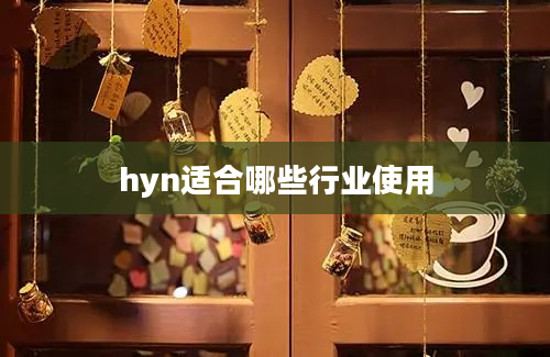 hyn适合哪些行业使用