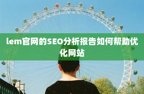 lem官网的SEO分析报告如何帮助优化网站