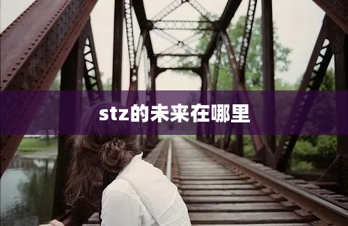 stz的未来在哪里