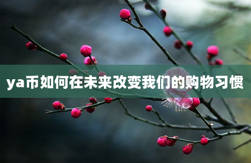 ya币如何在未来改变我们的购物习惯