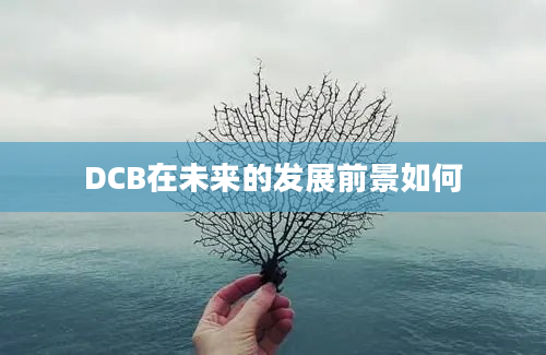 DCB在未来的发展前景如何