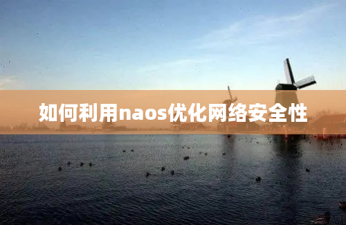 如何利用naos优化网络安全性