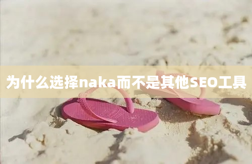 为什么选择naka而不是其他SEO工具