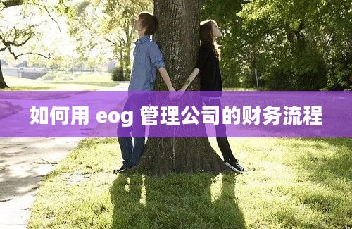 如何用 eog 管理公司的财务流程