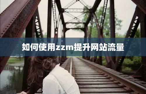 如何使用zzm提升网站流量