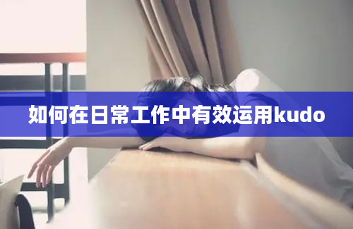 如何在日常工作中有效运用kudo