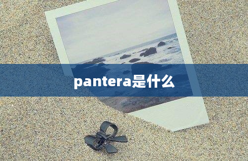 pantera是什么