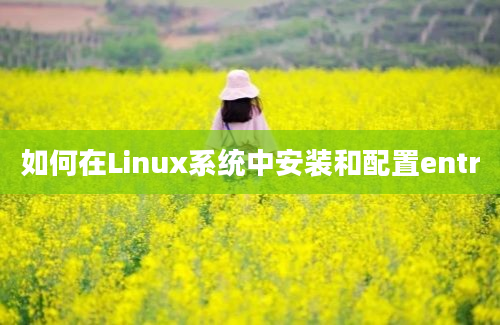 如何在Linux系统中安装和配置entr