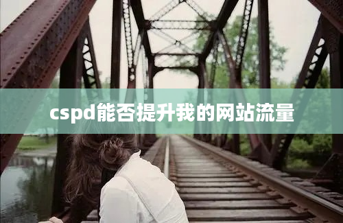 cspd能否提升我的网站流量