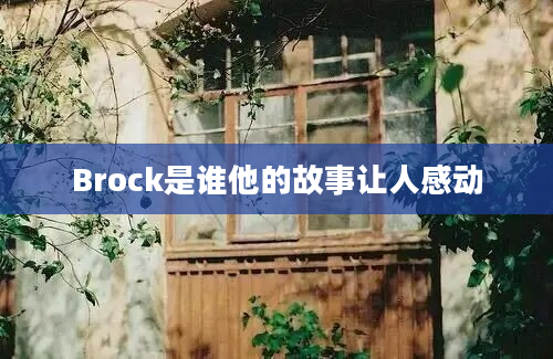 Brock是谁他的故事让人感动