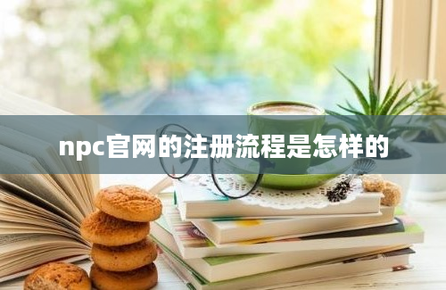 npc官网的注册流程是怎样的