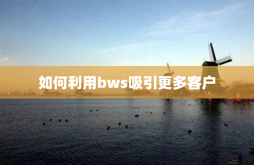 如何利用bws吸引更多客户