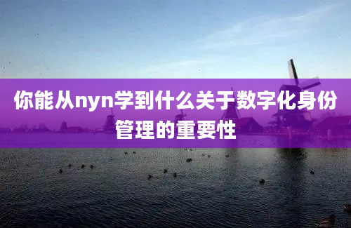 你能从nyn学到什么关于数字化身份管理的重要性