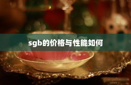 sgb的价格与性能如何