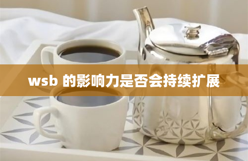 wsb 的影响力是否会持续扩展