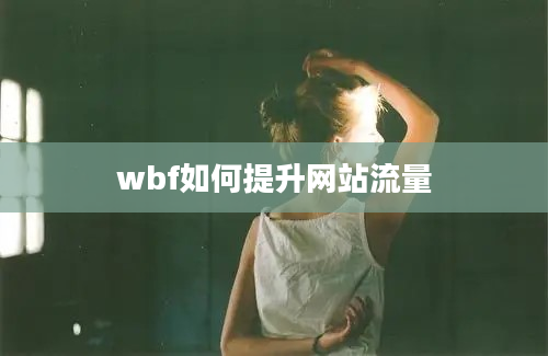 wbf如何提升网站流量