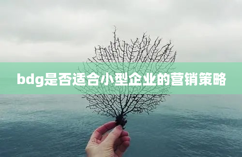 bdg是否适合小型企业的营销策略