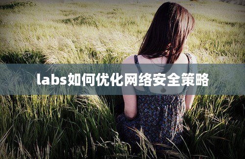 labs如何优化网络安全策略