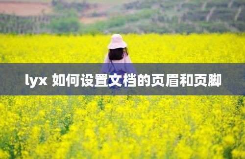 lyx 如何设置文档的页眉和页脚