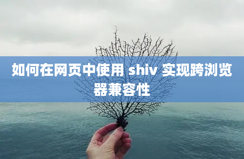 如何在网页中使用 shiv 实现跨浏览器兼容性