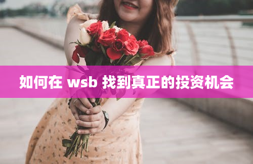 如何在 wsb 找到真正的投资机会